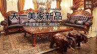 天一美家柚至尊新品，開啟奢享生活柚時代！